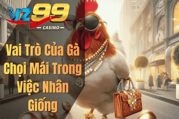 Vai Trò Của Gà Chọi Mái Trong Việc Nhân Giống